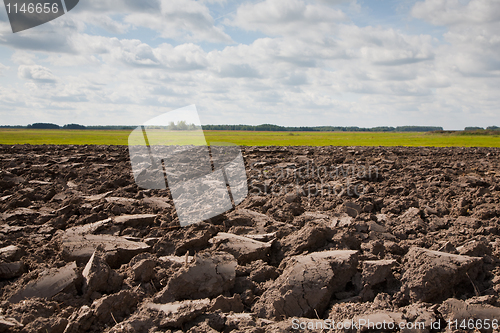 Image of End of summer in agricultural landscape