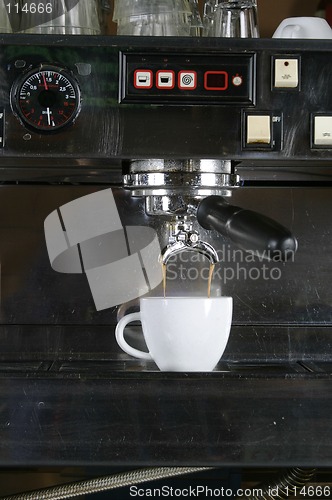 Image of Double Espresso