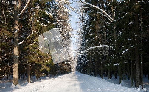 Image of Snowy wide ground road crossing old mixed stand