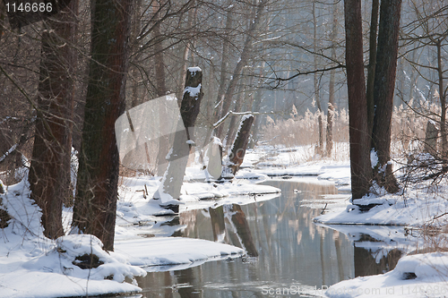 Image of Winter landscape of flowing river in sunny day