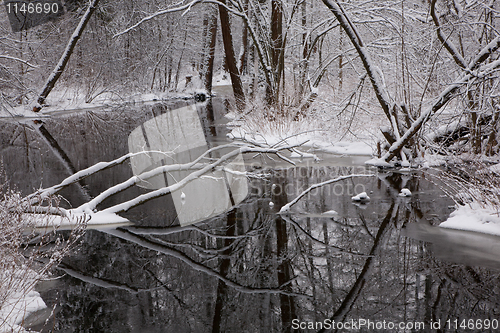 Image of Snowy riparian forest over river