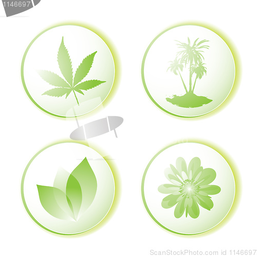 Image of eco icon leaf