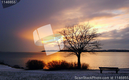 Image of Gold Winter Sunset in Finland