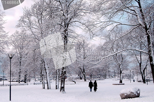 Image of Winter in City Park