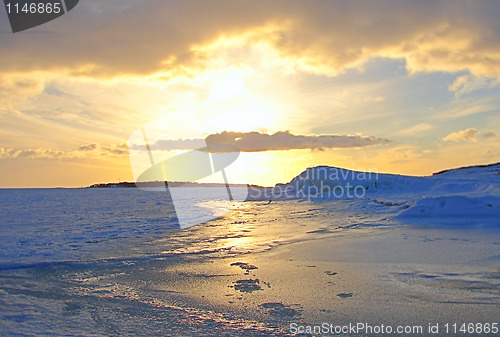 Image of Gold Winter Frosen Sea Sunset in Finland