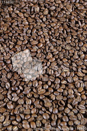 Image of Light Roast Beans