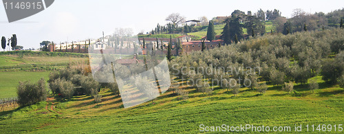 Image of Italy. Tuscany region, Val D'Orcia valley