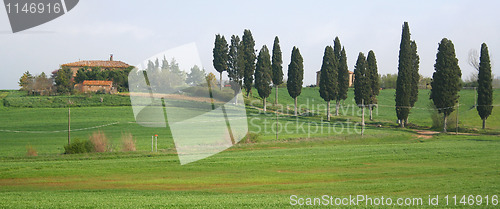 Image of Italy. Tuscany region, Val D'Orcia valley