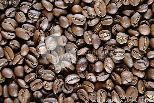 Image of Light Roast Beans