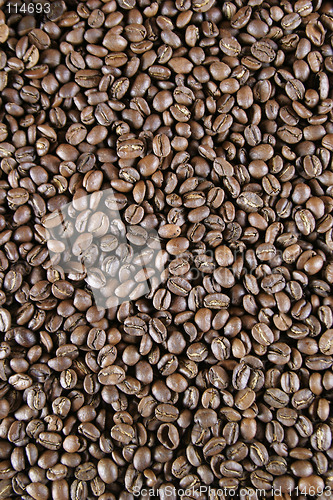 Image of Light Roast Beans