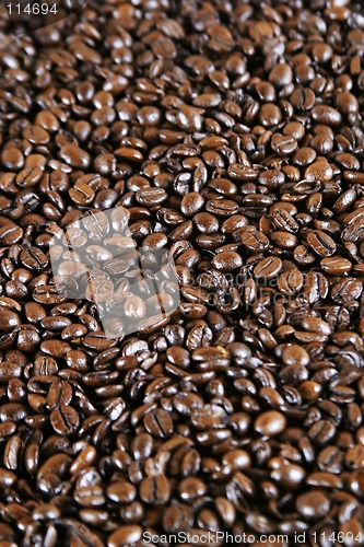 Image of Espresso Coffee Beans