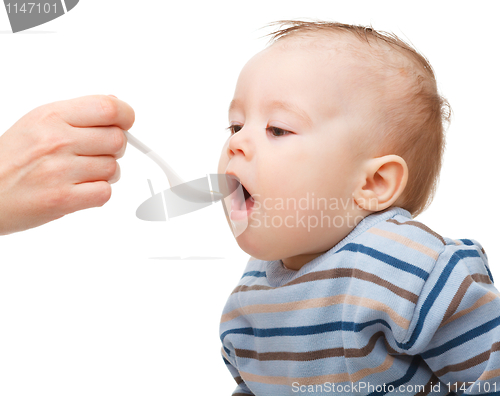 Image of Cute little boy is being fed using spoon