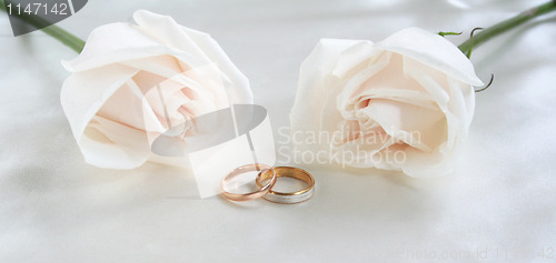 Image of Wedding rings and roses as background 