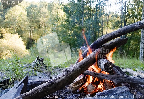 Image of Camp Fire