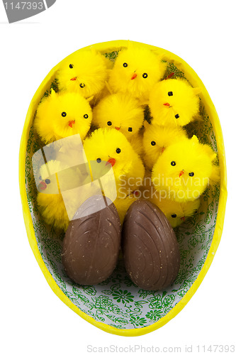 Image of Easter chickens in easter egg