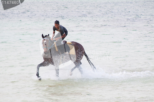 Image of Water riding