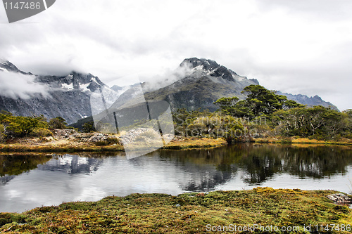 Image of New Zealand