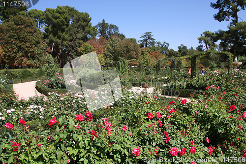 Image of Botanical garden in Madrid