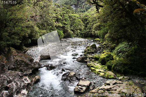 Image of New Zealand