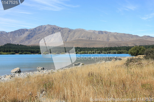 Image of Lake Tekapo