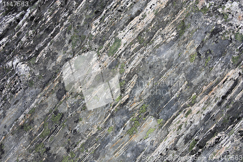 Image of Gneiss rock