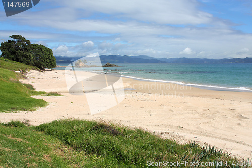 Image of Coromandel