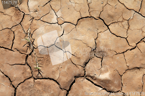 Image of Dry soil background
