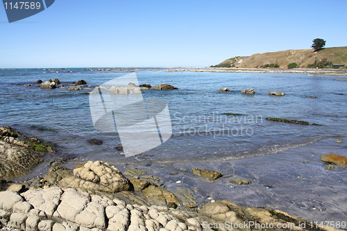 Image of Kaikoura