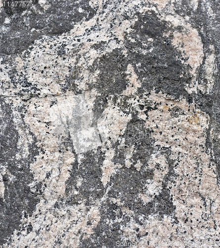 Image of Gneiss