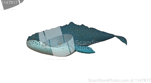 Image of whale illustration