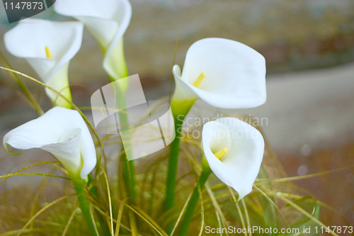 Image of fantasy floral background