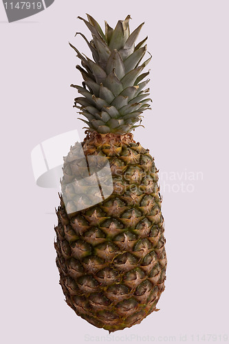 Image of Pineapple