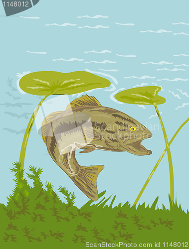 Image of largemouth bass fish swimming underwater