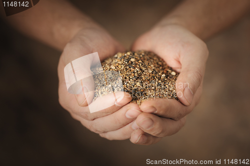 Image of Sand