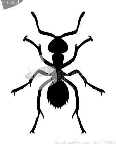 Image of Ant