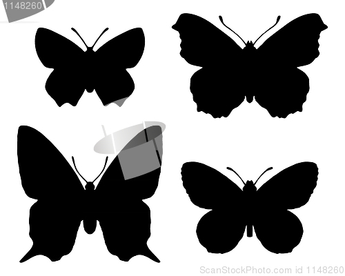 Image of Butterfly silhouettes