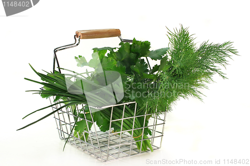 Image of Culinary herbs