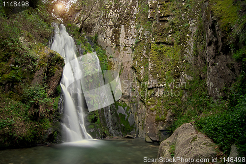 Image of Waterfall in deep forest