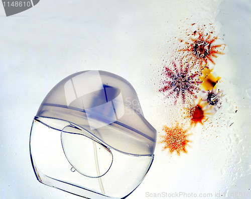 Image of flowers  bottle