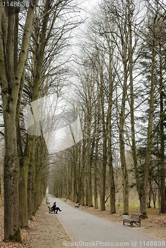 Image of Autumn in the park