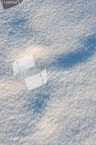 Image of Winter landscape