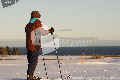 Image of Woman Skiing