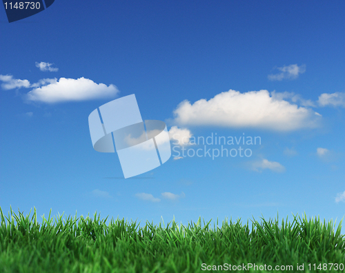 Image of Green field 