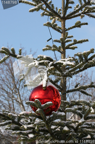 Image of Fir with red Christmas bauble