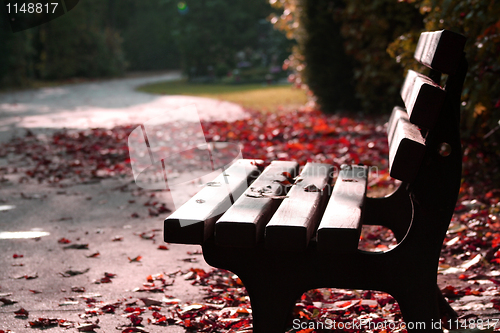 Image of Bench