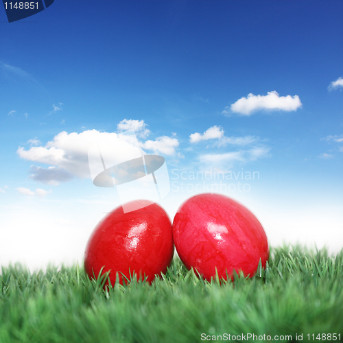 Image of Easter eggs on green grass 