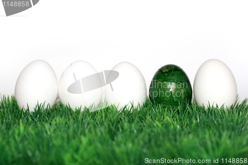 Image of A green egg between the white eggs