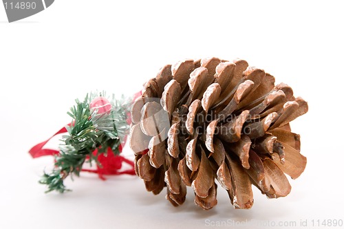 Image of Pine Cone