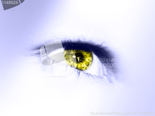 Image of beautiful eye isolated