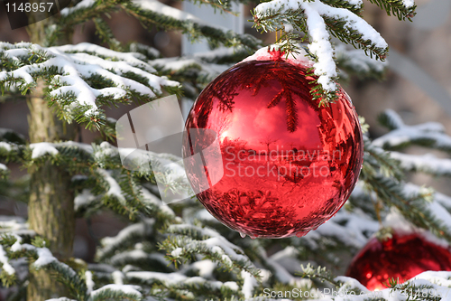 Image of Bauble on fir